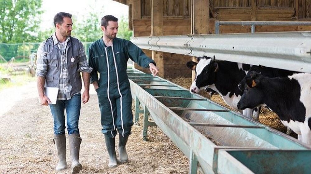 coopérative agricole pour un accompagnement optimal des éleveurs