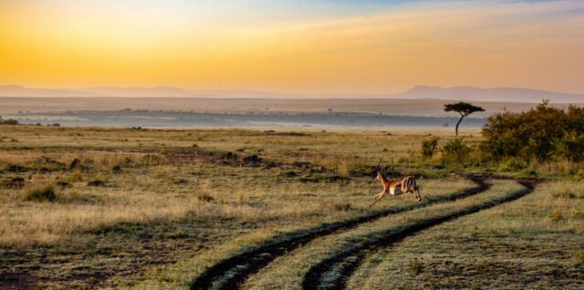 découvrez l'écotourisme : une manière responsable de voyager et de découvrir la nature tout en respectant l'environnement et les communautés locales. partez à l'aventure durable et vivez des expériences authentiques !
