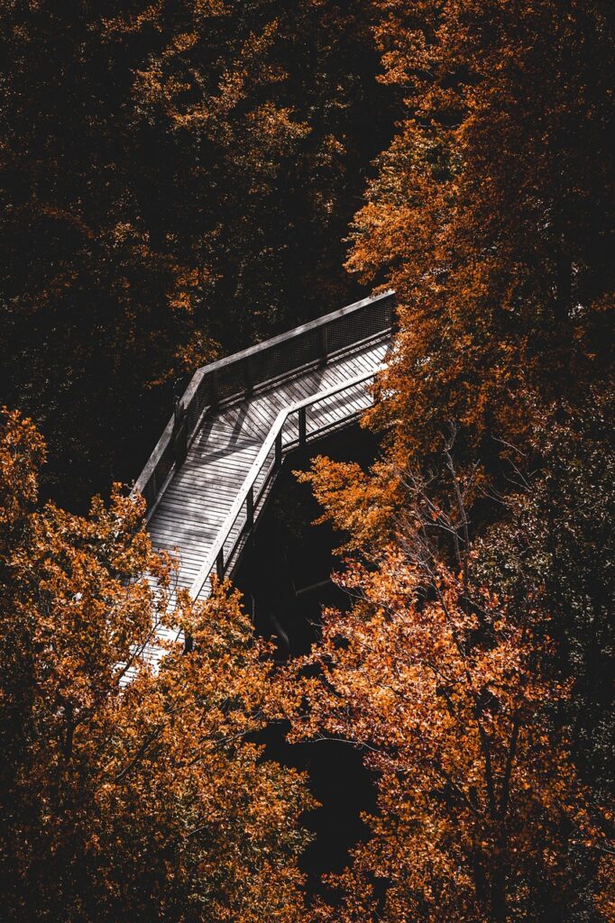 découvrez des conseils, itinéraires et équipements essentiels pour réussir vos randonnées et vivre pleinement l'aventure en pleine nature.