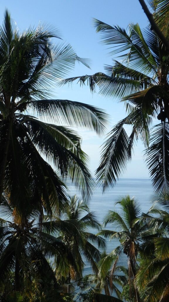 découvrez mayotte, une île paradisiaque de l'océan indien, réputée pour ses plages magnifiques, sa lagune protégée et sa richesse culturelle. idéal pour le tourisme, la découverte et l'évasion.