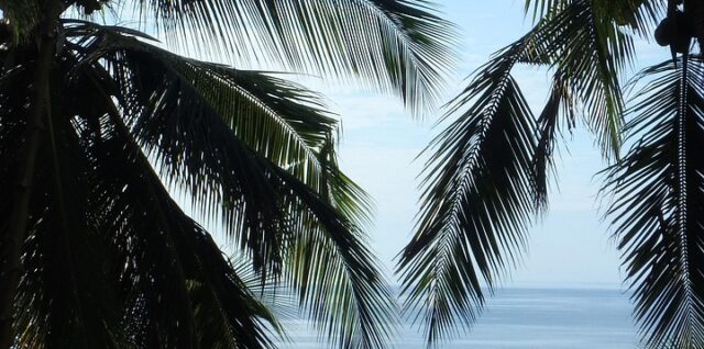 découvrez mayotte, une île paradisiaque de l'océan indien, réputée pour ses plages magnifiques, sa lagune protégée et sa richesse culturelle. idéal pour le tourisme, la découverte et l'évasion.