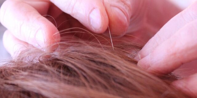 découvrez le tourisme alternatif : des expériences uniques et authentiques loin des sentiers battus, pour explorer de nouvelles cultures et modes de vie.